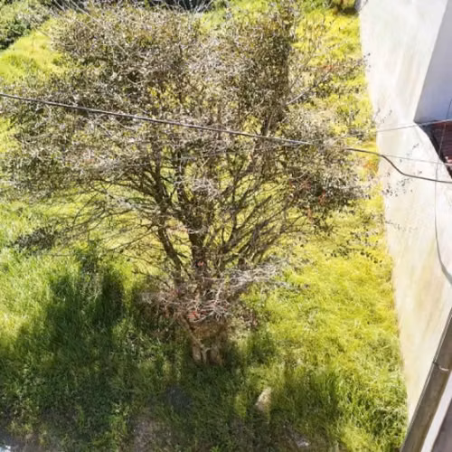 Terreno en Venta Terravista Coventry Carr a El Salvador - Imagen 4
