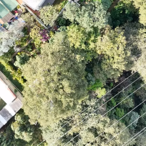 Casa y Terrenos Amplios en Venta Bulevar San Cristóbal - Imagen 18