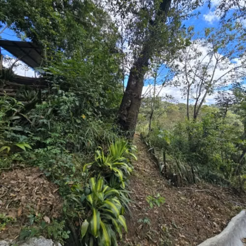 Casa y Terrenos Amplios en Venta Bulevar San Cristóbal - Imagen 17