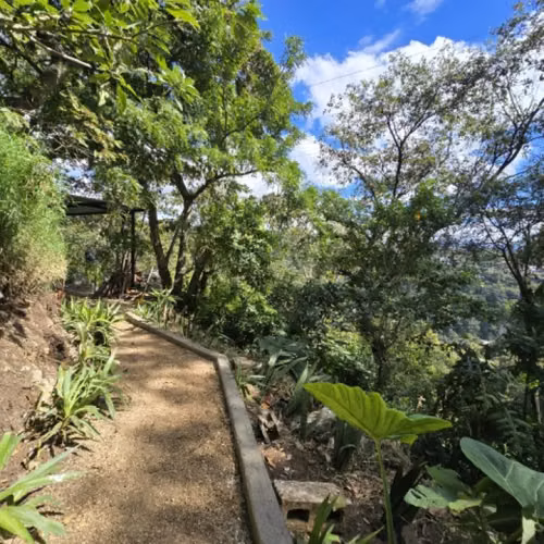 Casa y Terrenos Amplios en Venta Bulevar San Cristóbal - Imagen 16