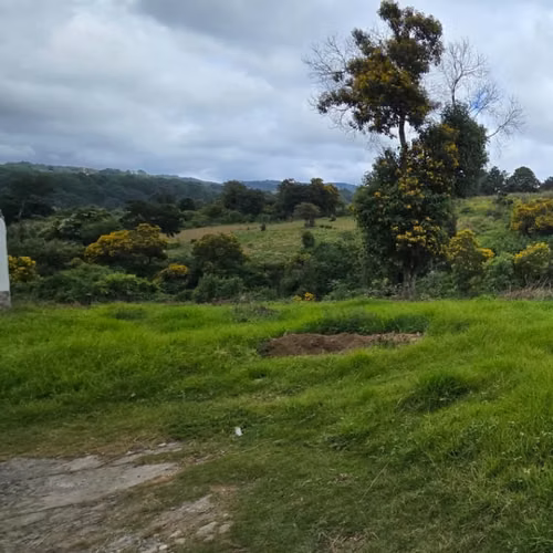 Terreno en Venta Granja Villas Alicia KM 32.9 Santiago