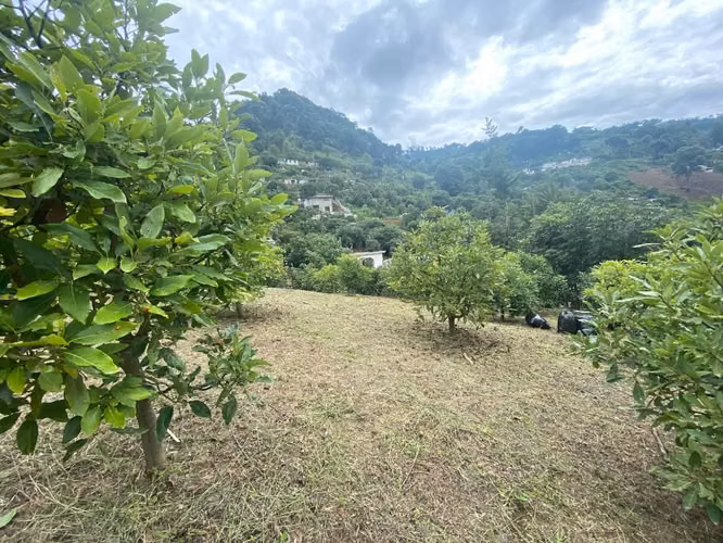 Vendo Excelente Opción Terreno Grande Ubicado Hato Vuelta Grande Antigua - Imagen 3