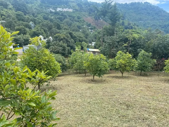 Vendo Excelente Opción Terreno Grande Ubicado Hato Vuelta Grande Antigua