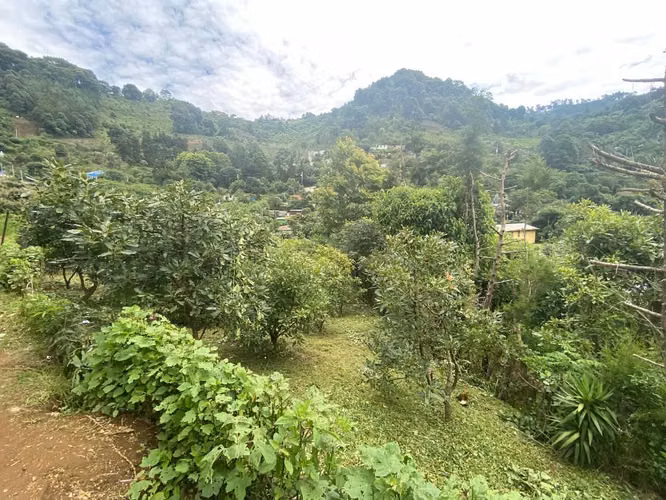 Vendo Excelente Opción Terreno Grande Ubicado Hato Vuelta Grande Antigua - Imagen 4