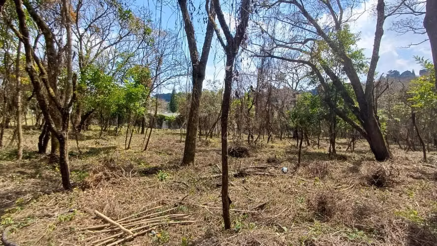 Terrenos en Venta en Casa y Campo km 23.5 CES