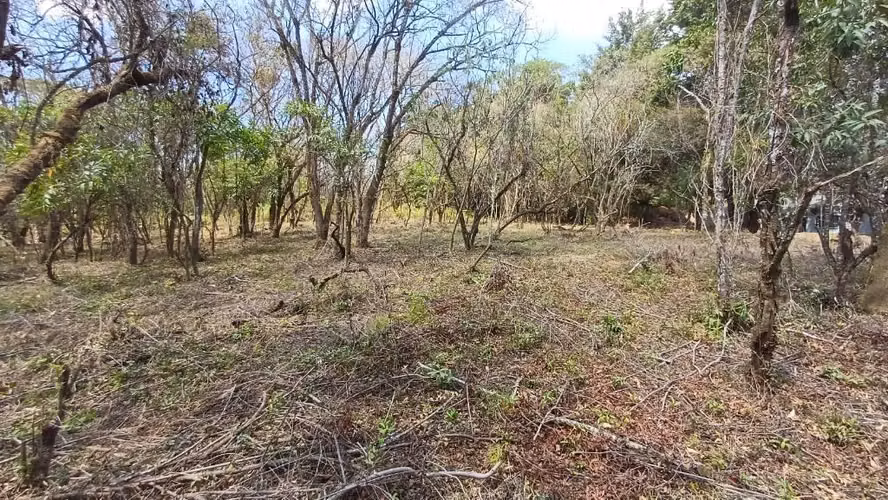 Terrenos en Venta en Casa y Campo km 23.5 CES
