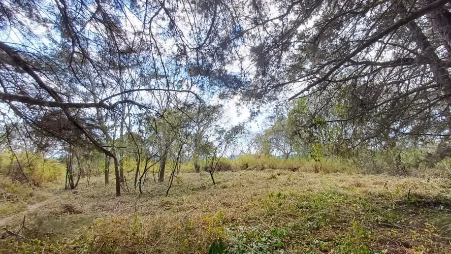 Terrenos en Venta en Casa y Campo km 23.5 CES