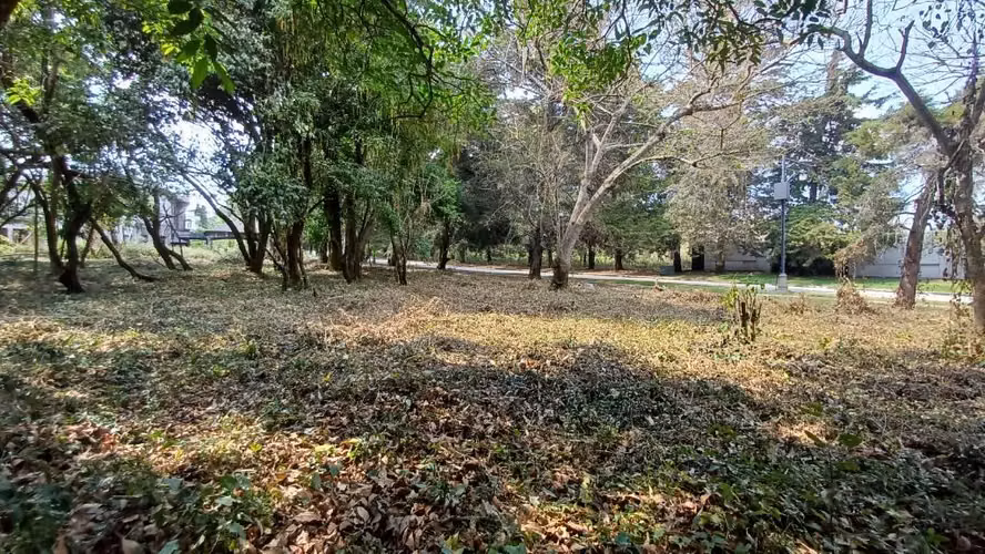 Terrenos en Venta en Casa y Campo km 23.5 CES