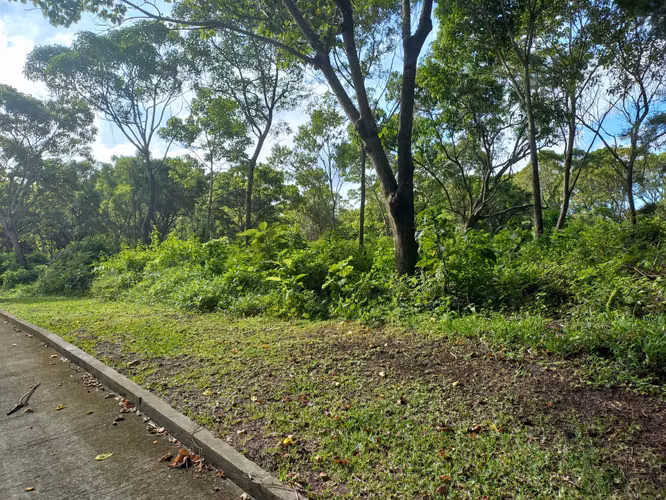 Terrenos en Casa y Campo, Km 23 Carretera a El Salvador - Imagen 2
