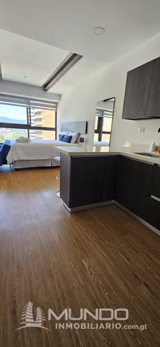 ZONA 10 APARTAMENTO RENTA AMOBLADO TIPO ESTUDIO - Imagen 8