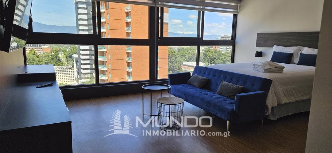 ZONE 10 FURNISHED STUDIO APARTMENT FOR RENT