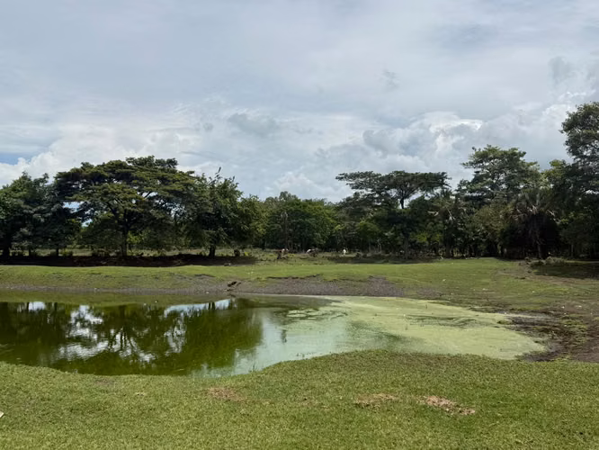 Industrial land in Escuintla, before arriving in Puerto San José