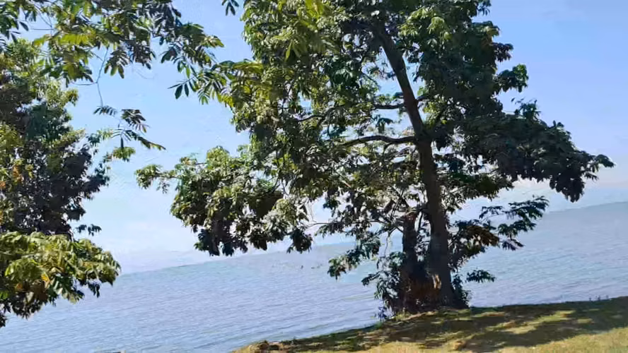 Vendo lote con potencial turístico en El Stor, Lago Izabal, Guatemala