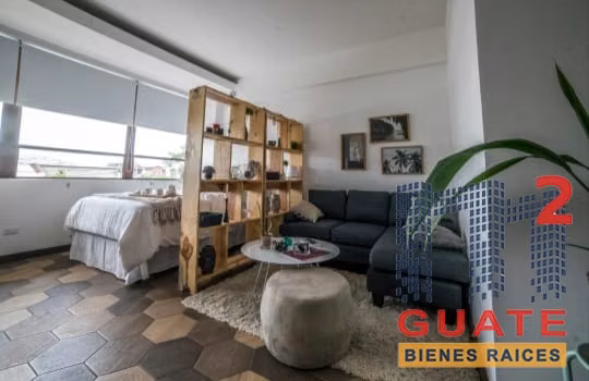 Vendo Apartamento en Zona 01