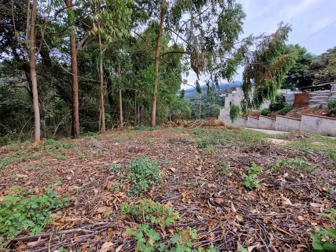 VENDO TERRENO EN SAN LUCAS FOREST - 151.45 M2