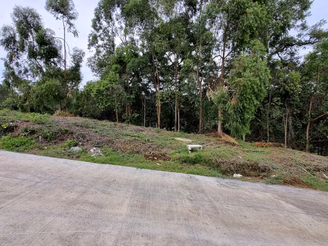 VENDO TERRENO EN SAN LUCAS FOREST - 151.45 M2