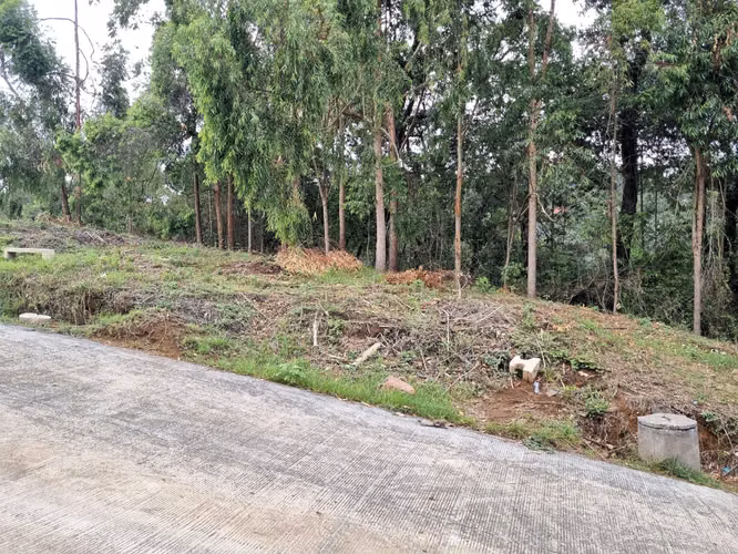 VENDO TERRENO EN SAN LUCAS FOREST - 151.45 M2