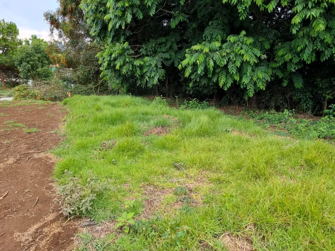 VENDO TERRENO EN SAN LUCAS FOREST - 175.66 M2