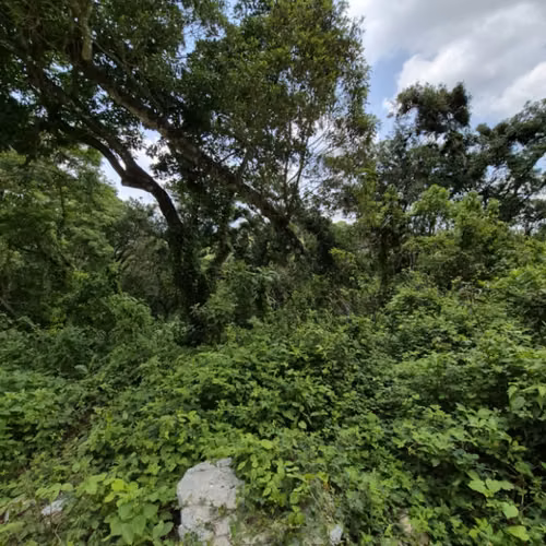 Terreno en venta Santa Rosalia km 12 C. al Salvador - Imagen 5