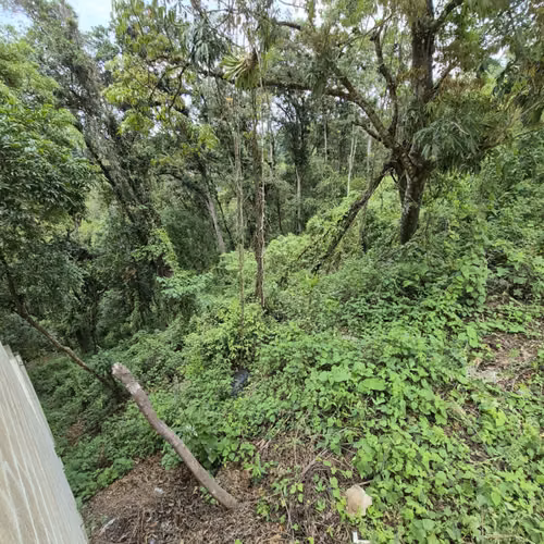 Terreno en venta Santa Rosalia km 12 C. al Salvador - Imagen 14