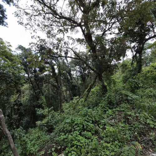 Terreno en venta Santa Rosalia km 12 C. al Salvador - Imagen 11