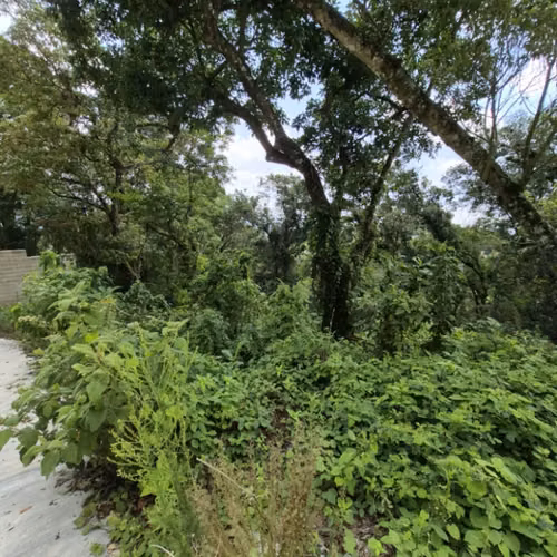 Terreno en venta Santa Rosalia km 12 C. al Salvador - Imagen 6
