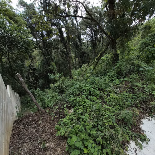 Terreno en venta Santa Rosalia km 12 C. al Salvador - Imagen 9