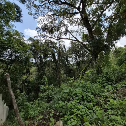Terreno en venta Santa Rosalia km 12 C. al Salvador - Imagen 12