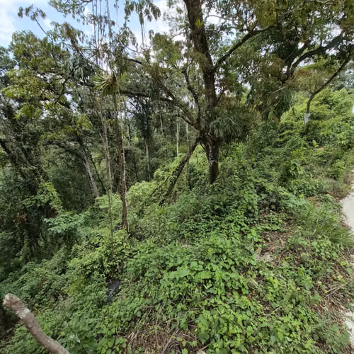 Terreno en venta Santa Rosalia km 12 C. al Salvador - Imagen 13