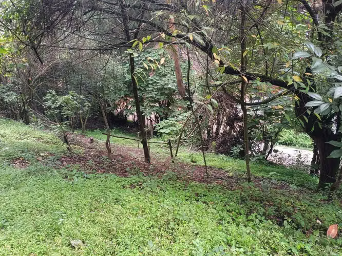TERRENO EN VENTA SAN LUCAS KM 31.5 CARRETERA ANTIGUA - Imagen 7