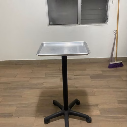 Multipurpose Rolling Table