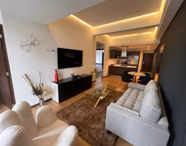 APARTAMENTO AMUEBLADO EN RENTA ZONA 14