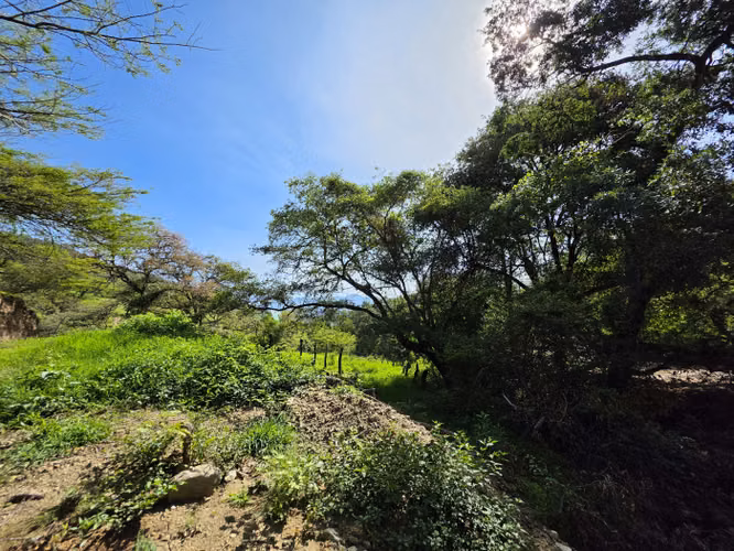FINCA DE 43.7 MANZANAS EN VENTA EN HUEHUETENANGO - Imagen 4