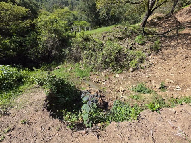 FINCA DE 43.7 MANZANAS EN VENTA EN HUEHUETENANGO