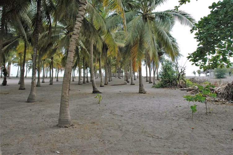 Terreno Frente al Mar con Chalet en Venta – Playa de Tulate, Retalhuleu.