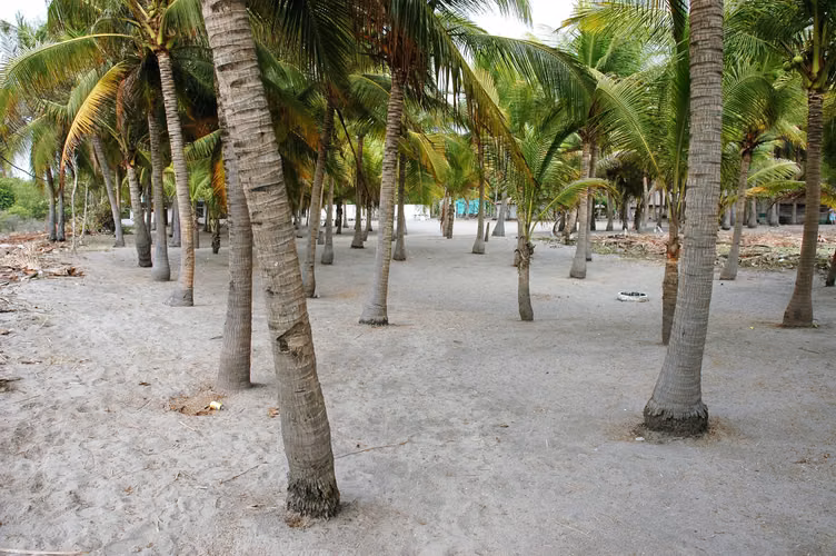 Terreno Frente al Mar con Chalet en Venta – Playa de Tulate, Retalhuleu. - Imagen 12