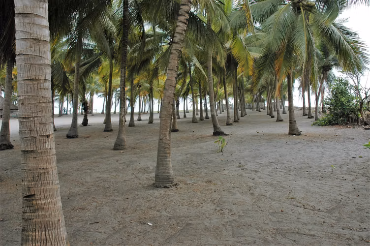 Terreno Frente al Mar con Chalet en Venta – Playa de Tulate, Retalhuleu. - Imagen 13