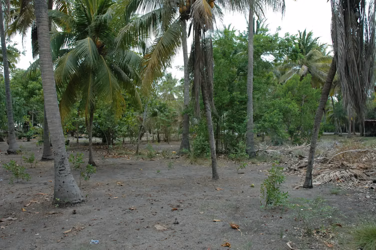 Terreno Frente al Mar con Chalet en Venta – Playa de Tulate, Retalhuleu. - Imagen 15