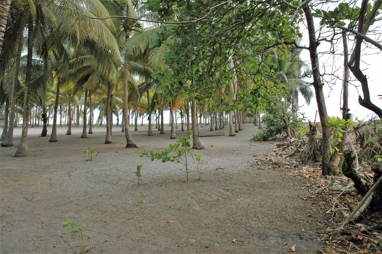 Terreno Frente al Mar con Chalet en Venta – Playa de Tulate, Retalhuleu. - Imagen 2