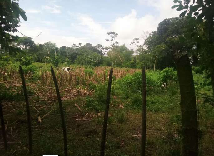 Venta de terreno 8 manzanas.