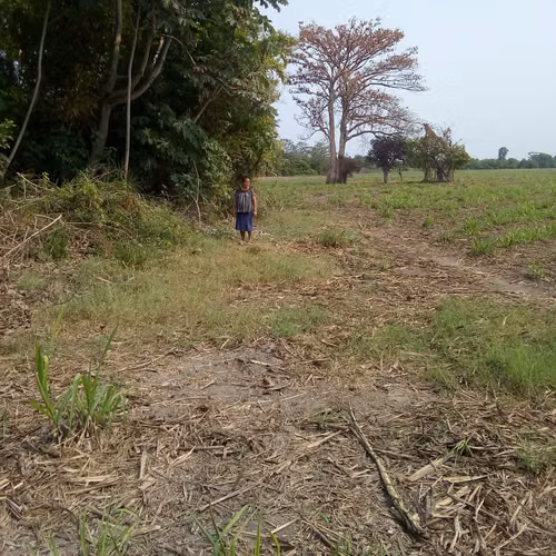 Venta de terreno 8 manzanas. - Imagen 2