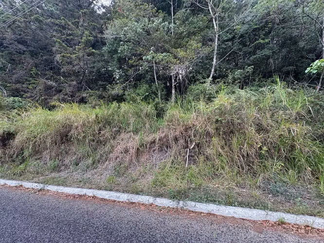 Terreno en Km 16 Carretera a El Salvador - Imagen 2