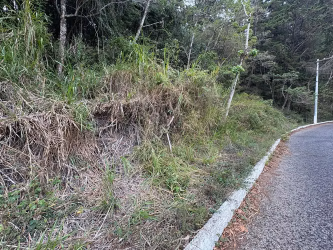 Terreno en Km 16 Carretera a El Salvador - Imagen 3