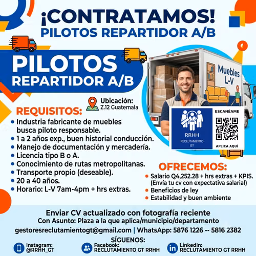 Piloto Licencia A/B  Conductor de Reparto Empresarial