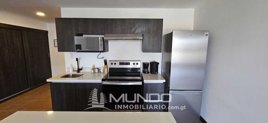Zone 10 Furnished Studio Apartment for Rent