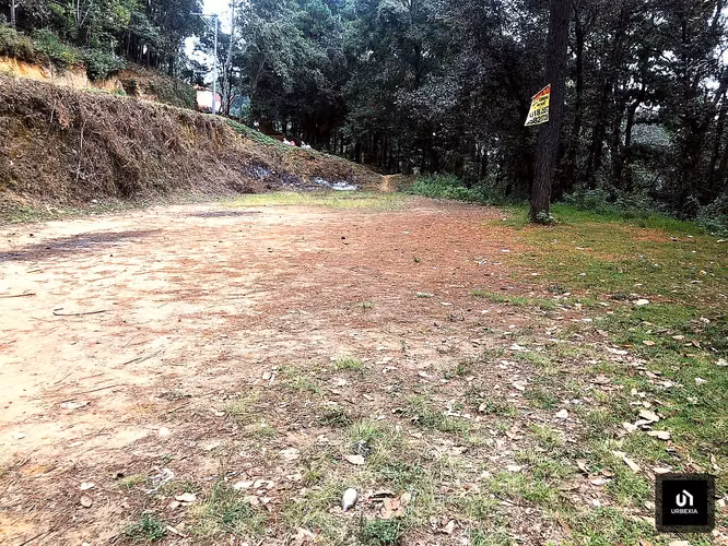 EN VENTA TERRENO EN CHOACORRAL SAN LUCAS
