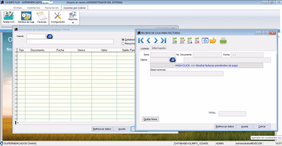 SOFTWARE PARA PUNTO DE VENTA TOTALMENTE SIN COSTO! - Imagen 8