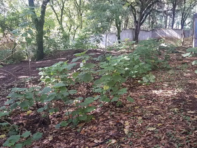 Terreno 8.7 manzanas en Lo de Coy, Mixco — ideal residencial / ofibodegas / uso mixto  - en Venta