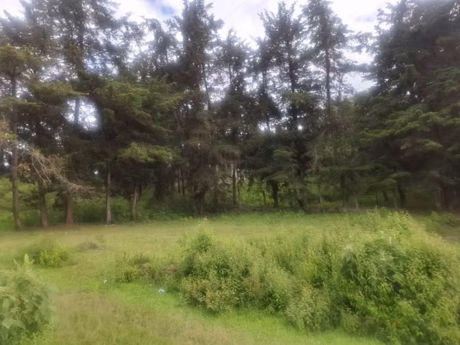 VENDO POR EMERGENCIA 4 Terrenos JUNTOS  para Casa (s) de Campo en Pinares Del Tejar Chimaltenango