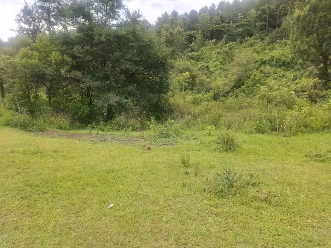 VENDO POR EMERGENCIA 4 Terrenos JUNTOS  para Casa (s) de Campo en Pinares Del Tejar Chimaltenango